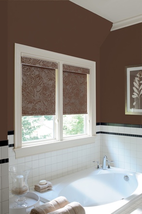 Cleveland roller shades small
